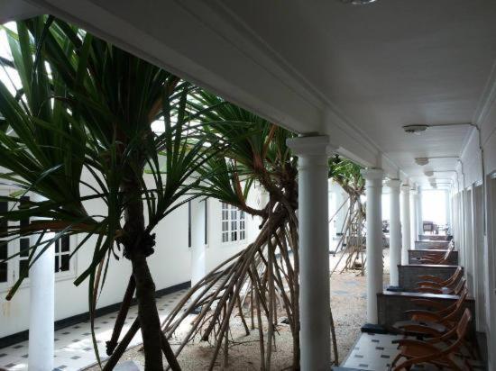 Ap Nippon Beach Hikkaduwa Dış mekan fotoğraf